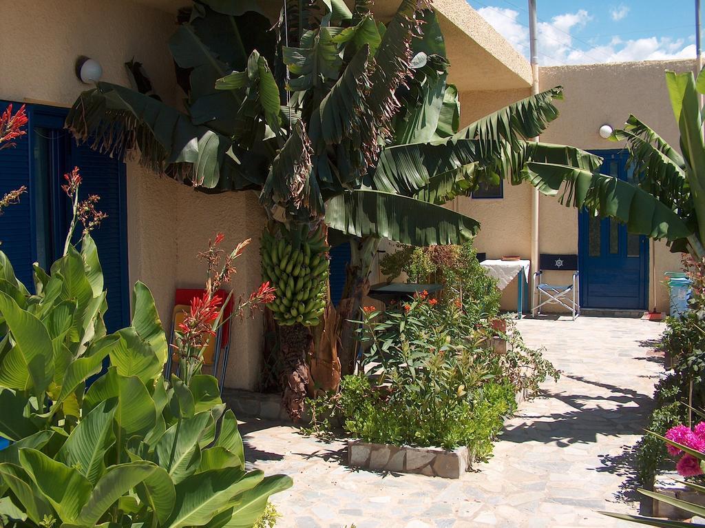 Porto Kastri Studios Ruang foto